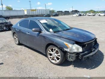  Salvage Nissan Maxima