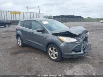  Salvage Ford Escape