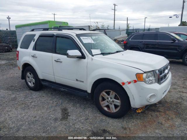  Salvage Ford Escape