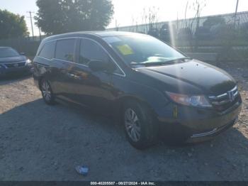  Salvage Honda Odyssey