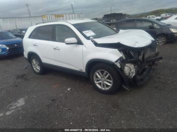  Salvage Kia Sorento