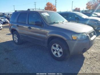  Salvage Ford Escape