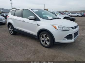  Salvage Ford Escape