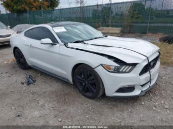  Salvage Ford Mustang