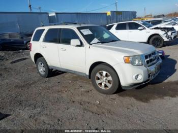  Salvage Ford Escape