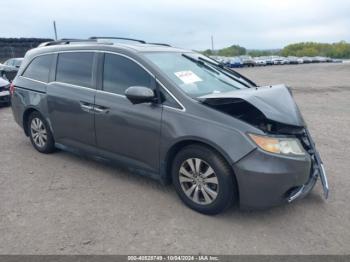  Salvage Honda Odyssey