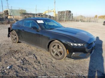  Salvage Ford Mustang