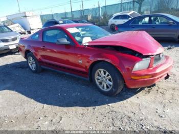  Salvage Ford Mustang