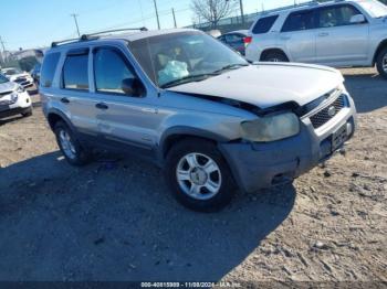  Salvage Ford Escape