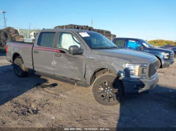  Salvage Ford F-150