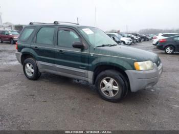  Salvage Ford Escape