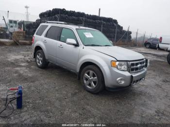  Salvage Ford Escape