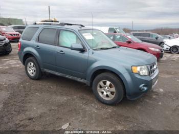  Salvage Ford Escape