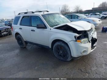  Salvage Ford Escape