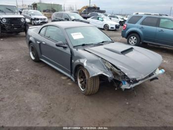  Salvage Ford Mustang