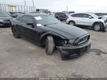  Salvage Ford Mustang