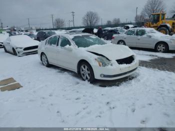  Salvage Nissan Maxima