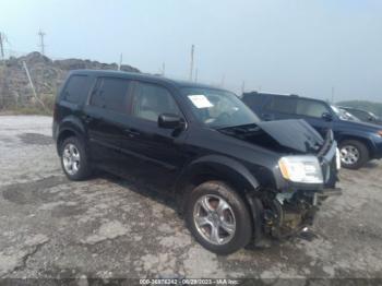  Salvage Honda Pilot