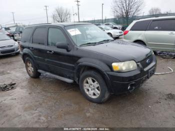  Salvage Ford Escape