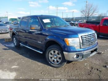  Salvage Ford F-150