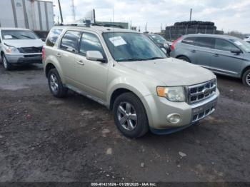  Salvage Ford Escape