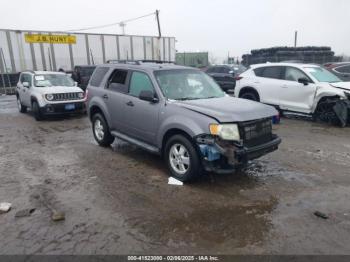  Salvage Ford Escape