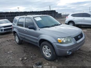  Salvage Ford Escape