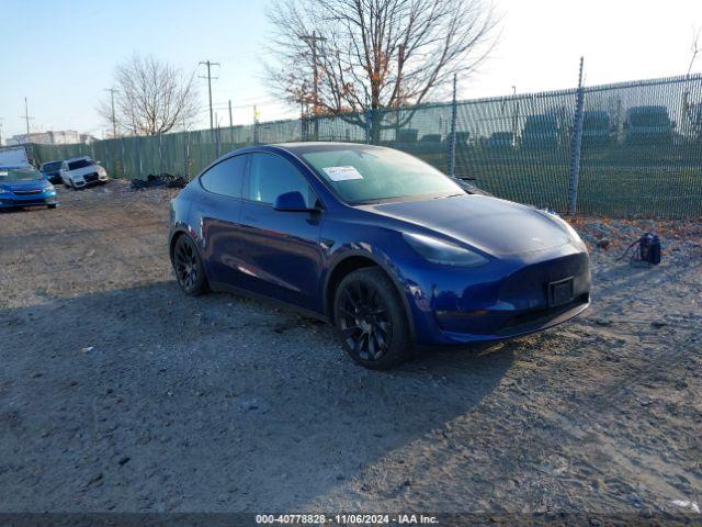  Salvage Tesla Model Y