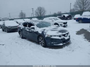  Salvage Nissan Maxima