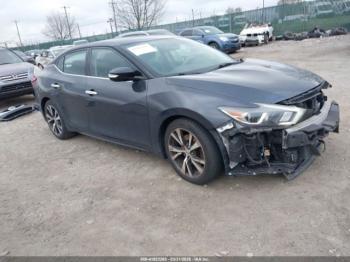  Salvage Nissan Maxima