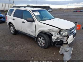  Salvage Ford Escape