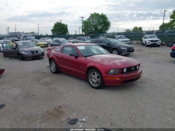  Salvage Ford Mustang