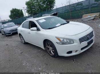  Salvage Nissan Maxima