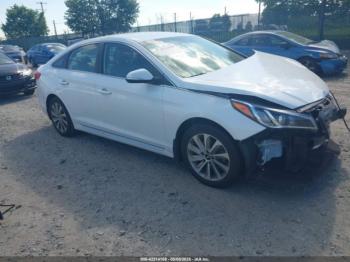  Salvage Hyundai SONATA