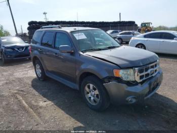  Salvage Ford Escape