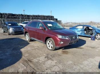  Salvage Lexus RX