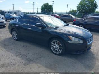  Salvage Nissan Maxima