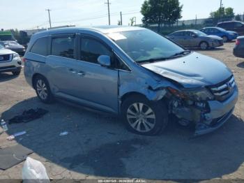  Salvage Honda Odyssey