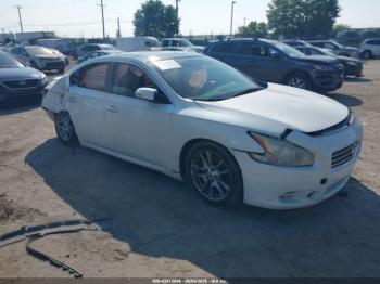  Salvage Nissan Maxima