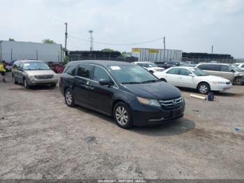  Salvage Honda Odyssey