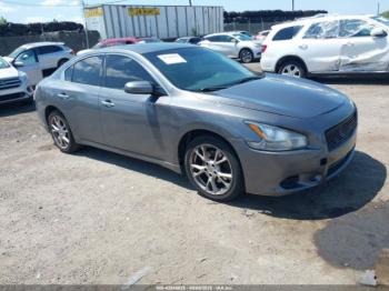  Salvage Nissan Maxima