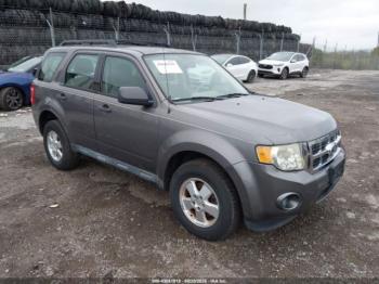  Salvage Ford Escape