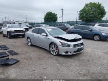  Salvage Nissan Maxima