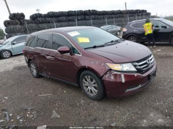 Salvage Honda Odyssey