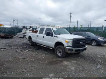  Salvage Ford F-250