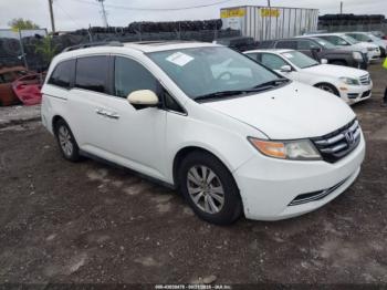  Salvage Honda Odyssey