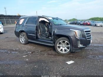  Salvage Cadillac Escalade