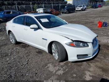  Salvage Jaguar XF