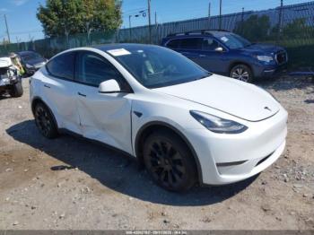  Salvage Tesla Model Y