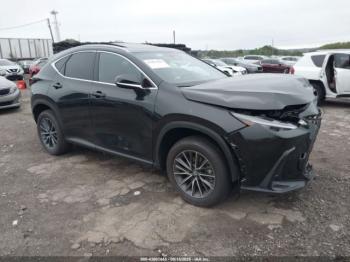  Salvage Lexus NX